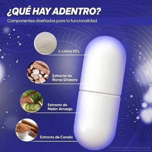 Encabezado