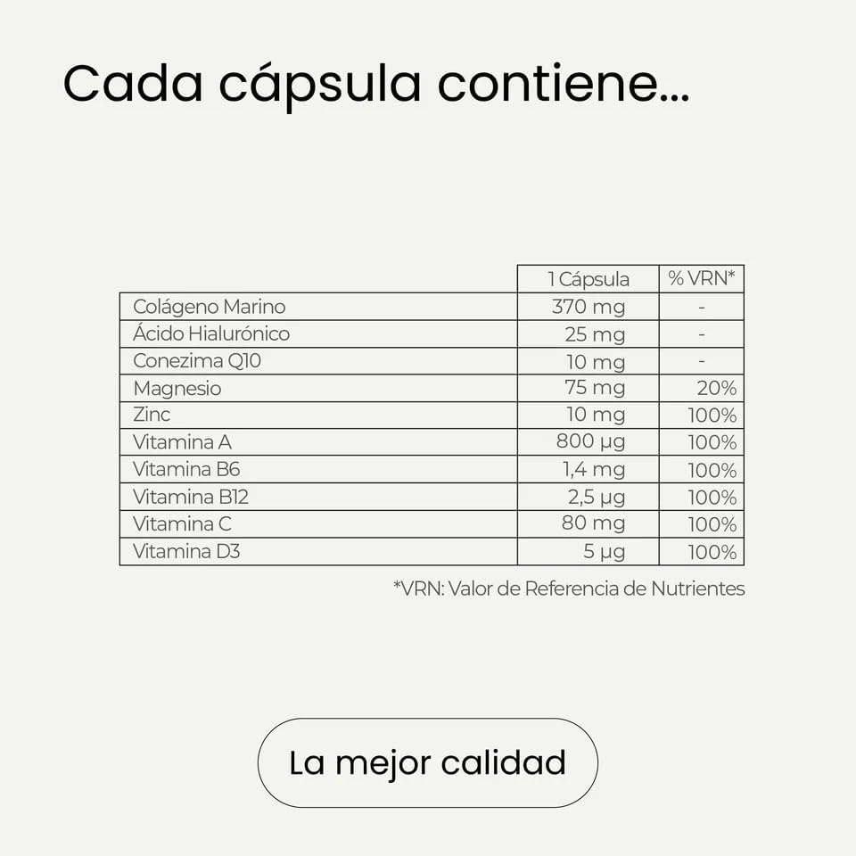 Encabezado