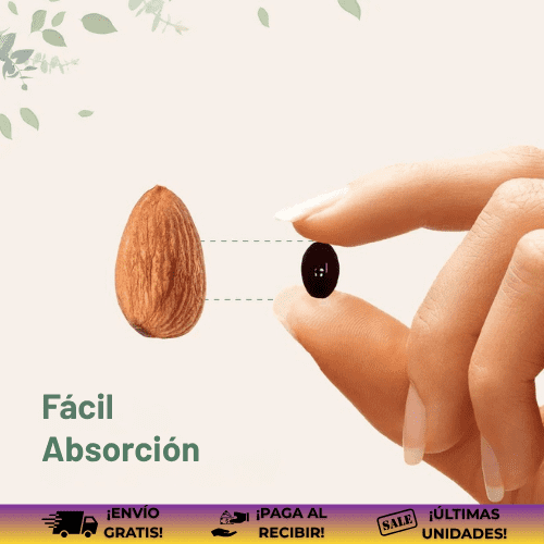 Canela de Ceilán® | Suplemento reductor del nivel de azúcar en la sangre