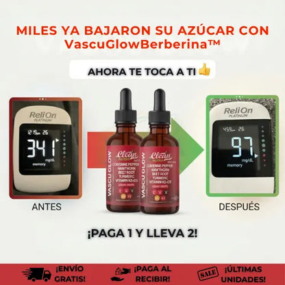 VascuGlowBerberina™ + eBook Profesional | Reduce tus niveles de azúcar en sangre y toma el control total de tu cuerpo