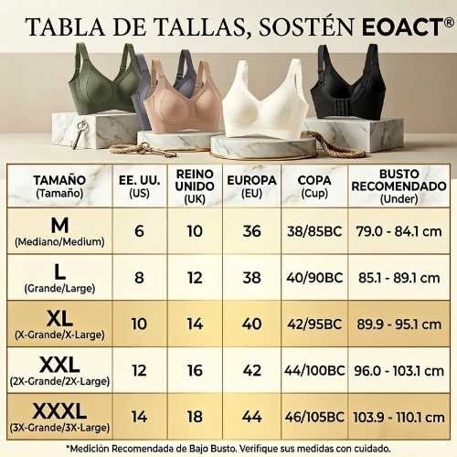 Encabezado